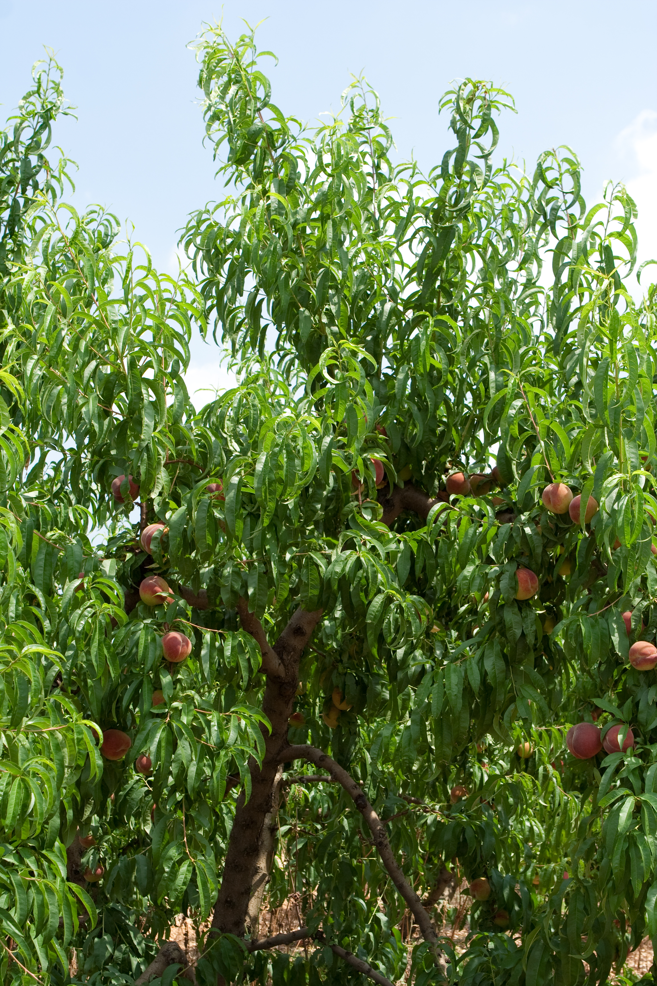 vakantie 2009 ontdekkingsreis-025.jpg